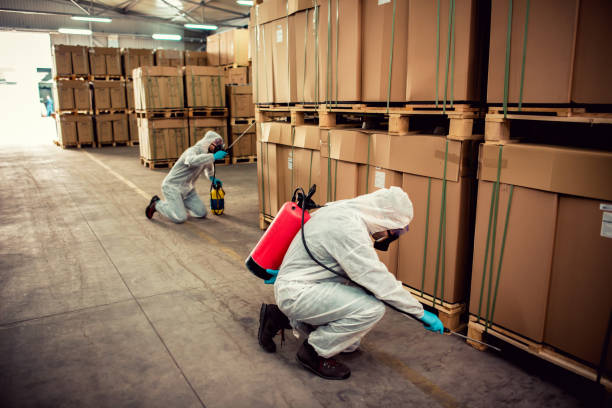 Best Termite Control Services  in Hartville, OH