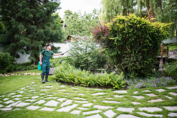 Trusted Hartville, OH Pest Control Experts