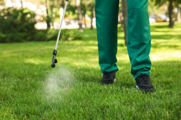 Best Wasp Removal Services  in Hartville, OH
