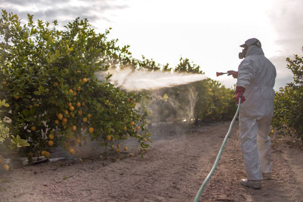 Best Affordable Pest Control Services  in Hartville, OH
