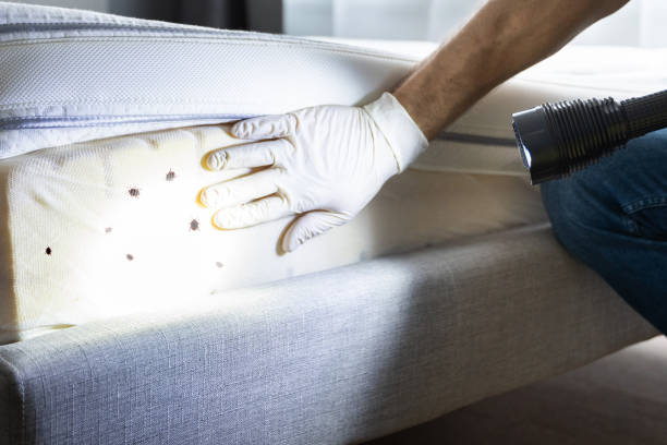 Best Commercial Pest Control Services  in Hartville, OH