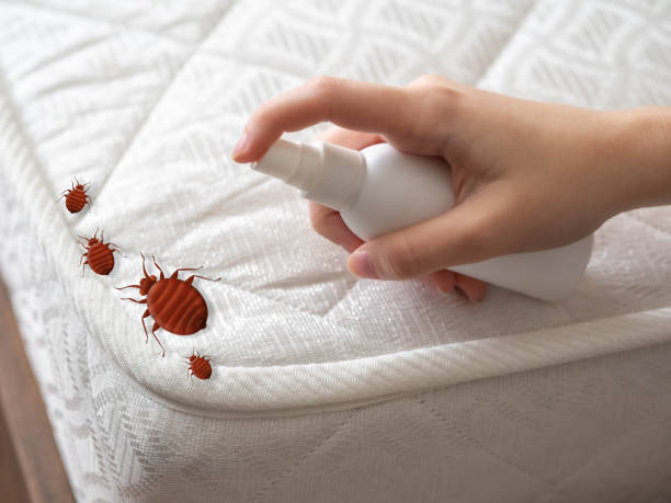 Best Pest Prevention Services  in Hartville, OH