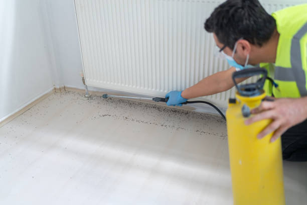 Best Bed Bug Extermination  in Hartville, OH