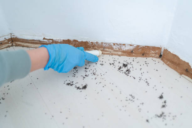 Best Pest Control for Businesses  in Hartville, OH