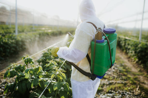Wildlife Control Services in Hartville, OH